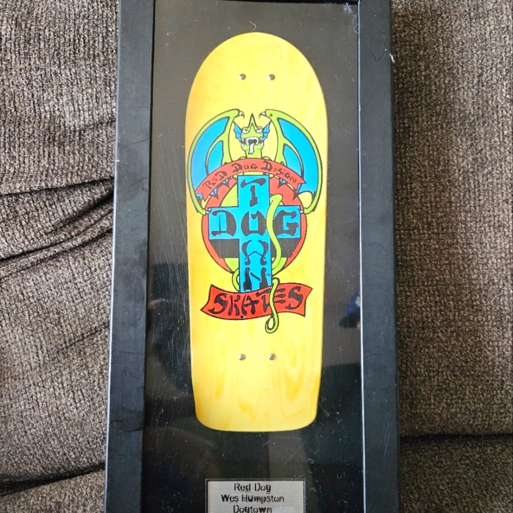 Collectors Skateboard